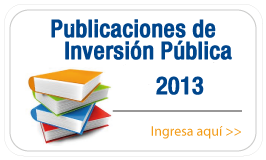 Publicaciones 2013