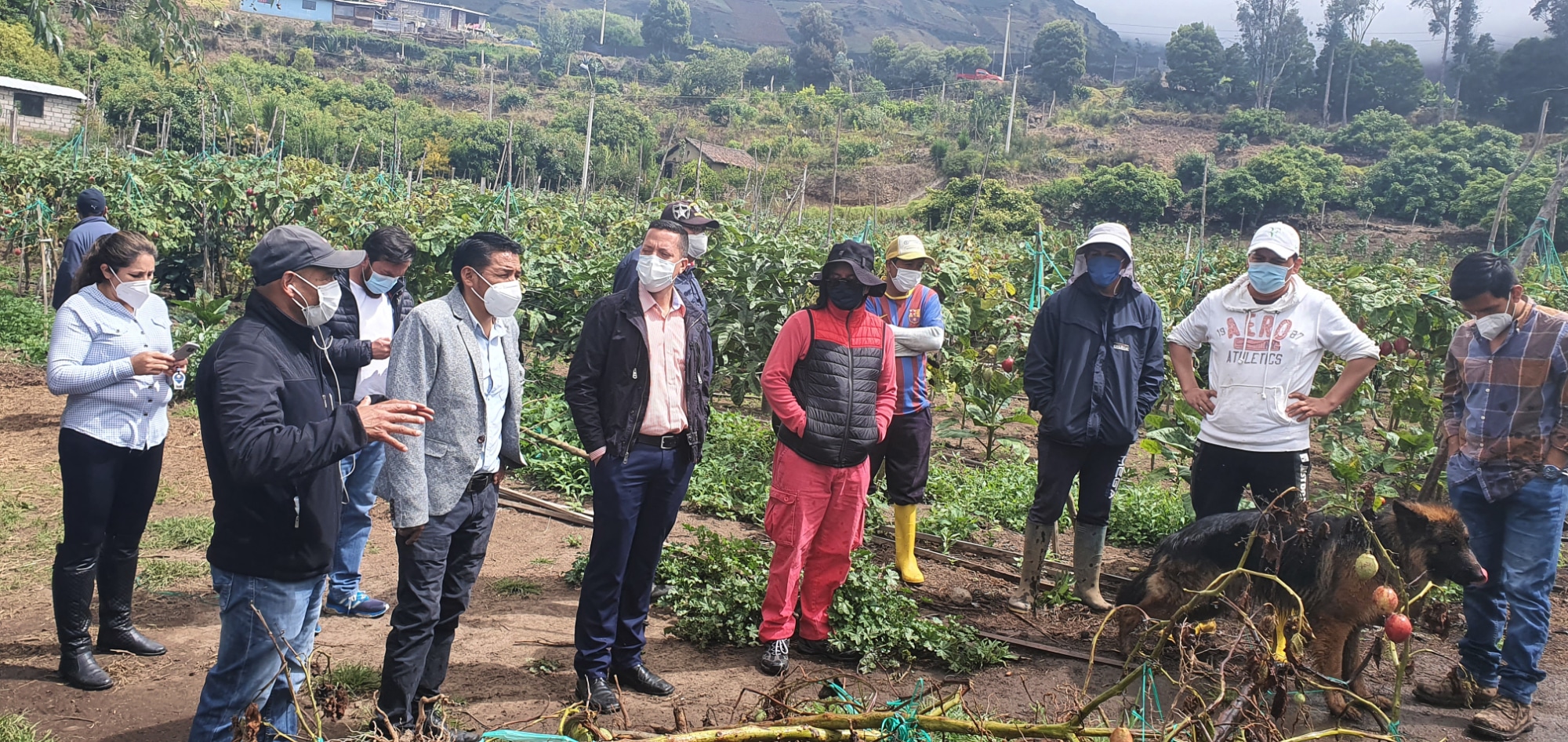 Los técnicos de Planifica Ecuador visitaron el proyecto de riego en Patate (Tungurahua).