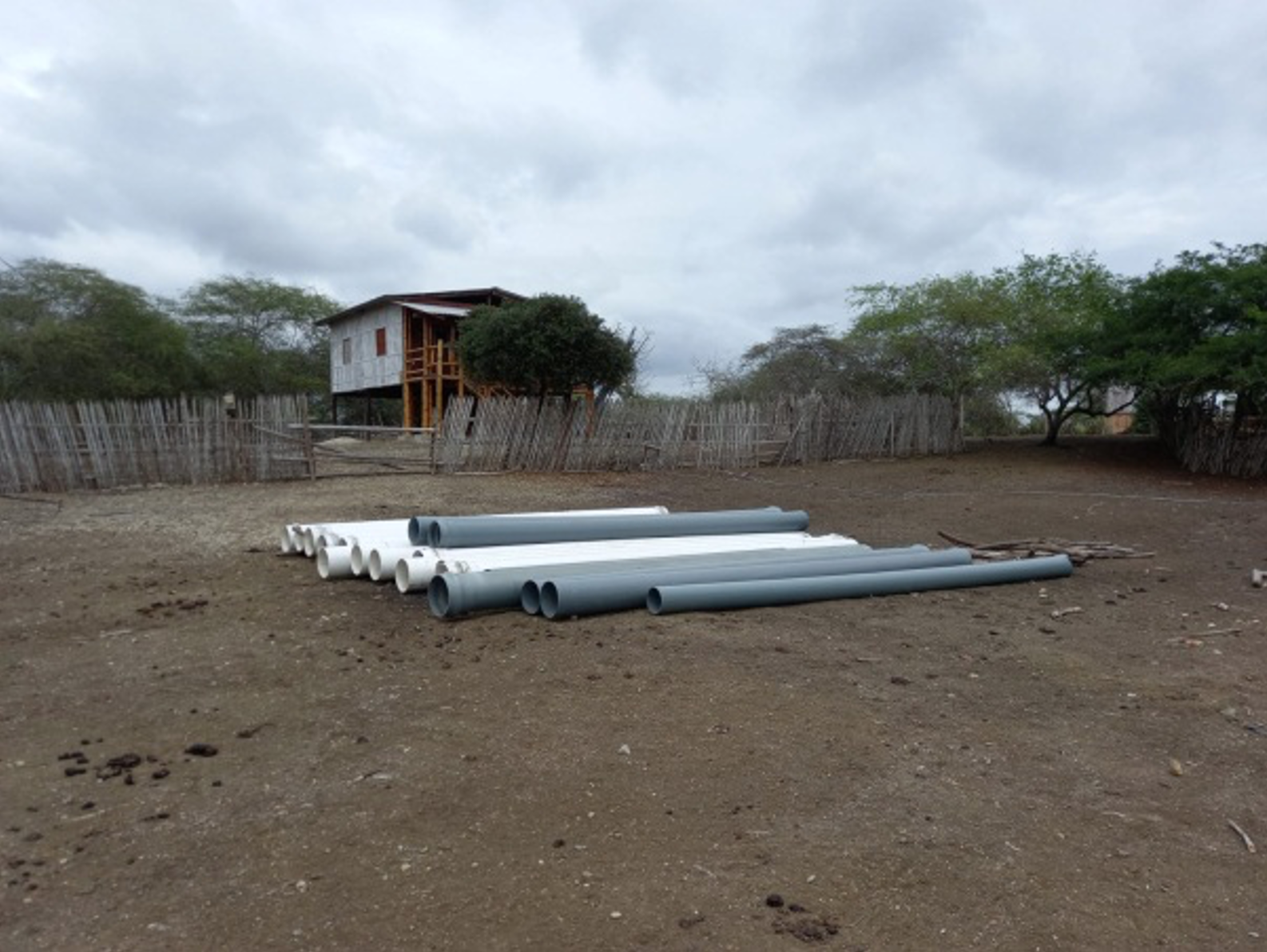 Sistema de riego tecnificado por aspersión para los cultivos de cacao y maíz, en Los Ríos.